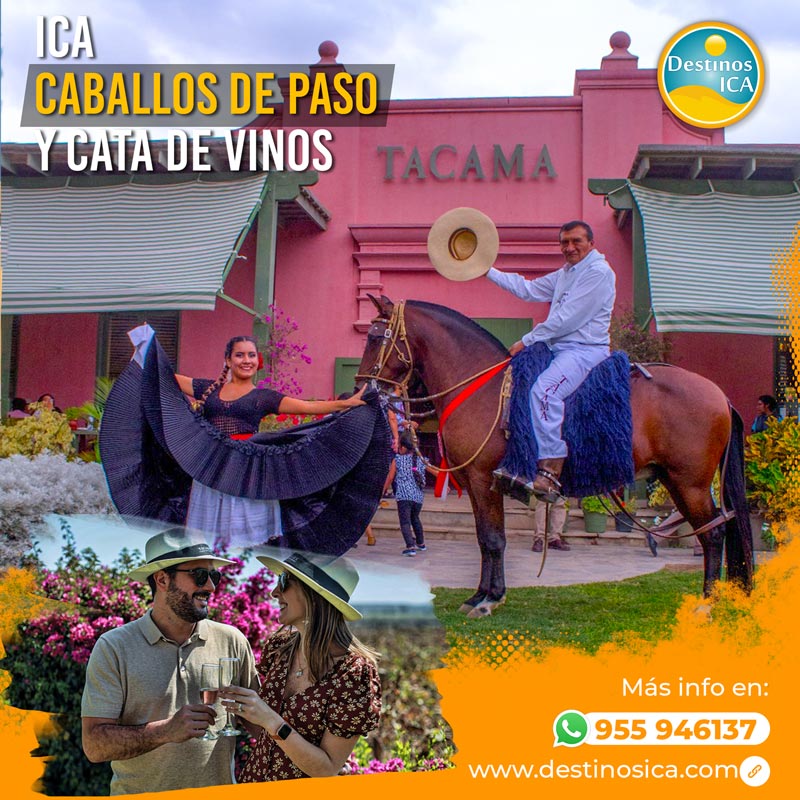 Cata de Vinos en Ica