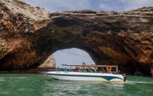 Islas Ballestas DestinosIca